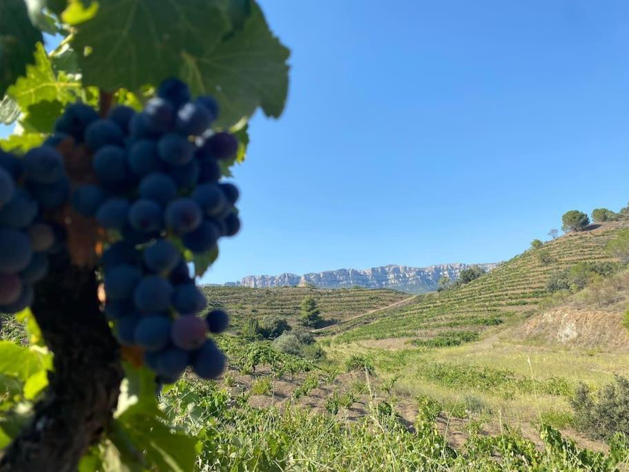 Ferienwohnung Vinyes Del Priorat Cornudella de Montsant Exterior foto